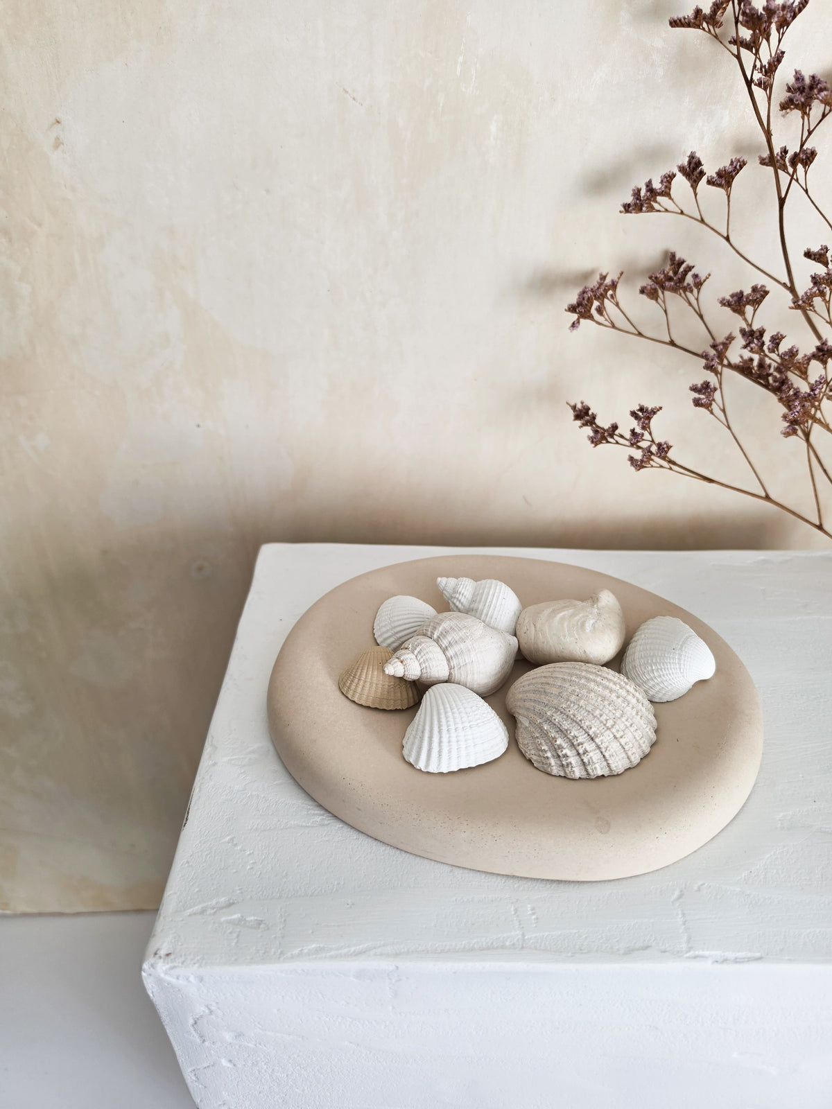 Sea Shell Scent Stones — Lume