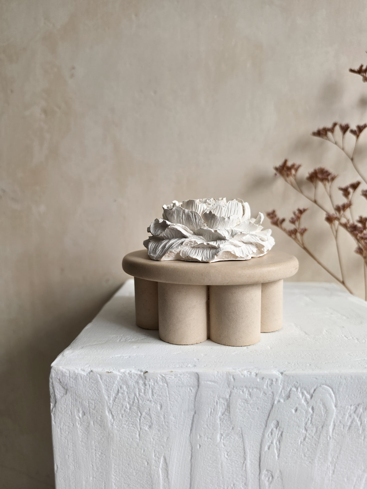 Peony — VELA