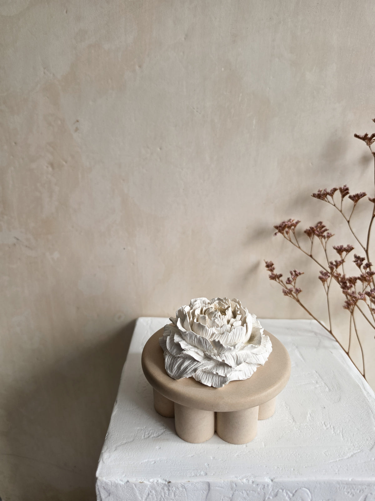Peony — VELA