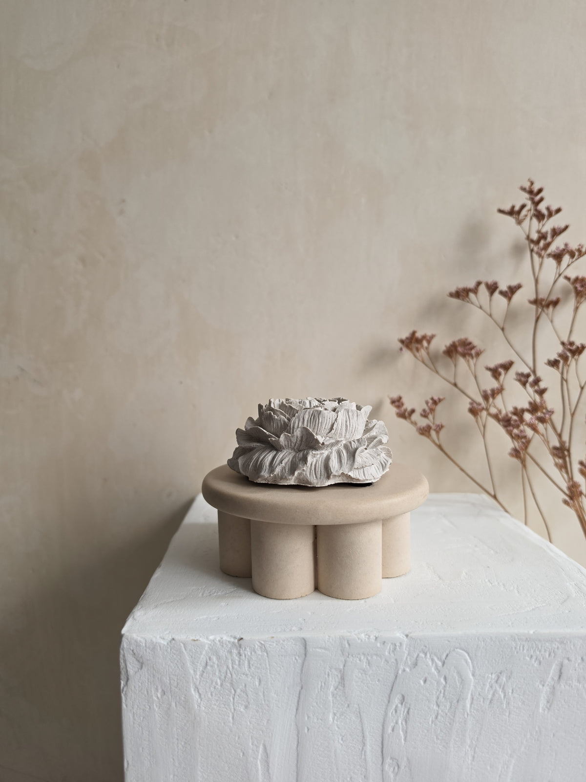 Peony — VELA