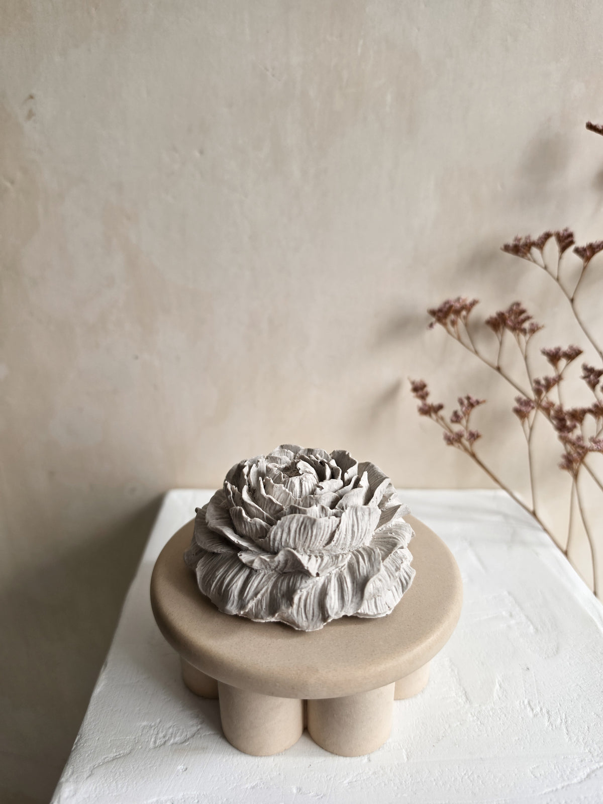 Peony — VELA