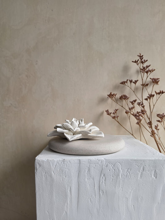 Water Lily — LINO