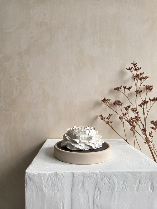 Peony — ORLO