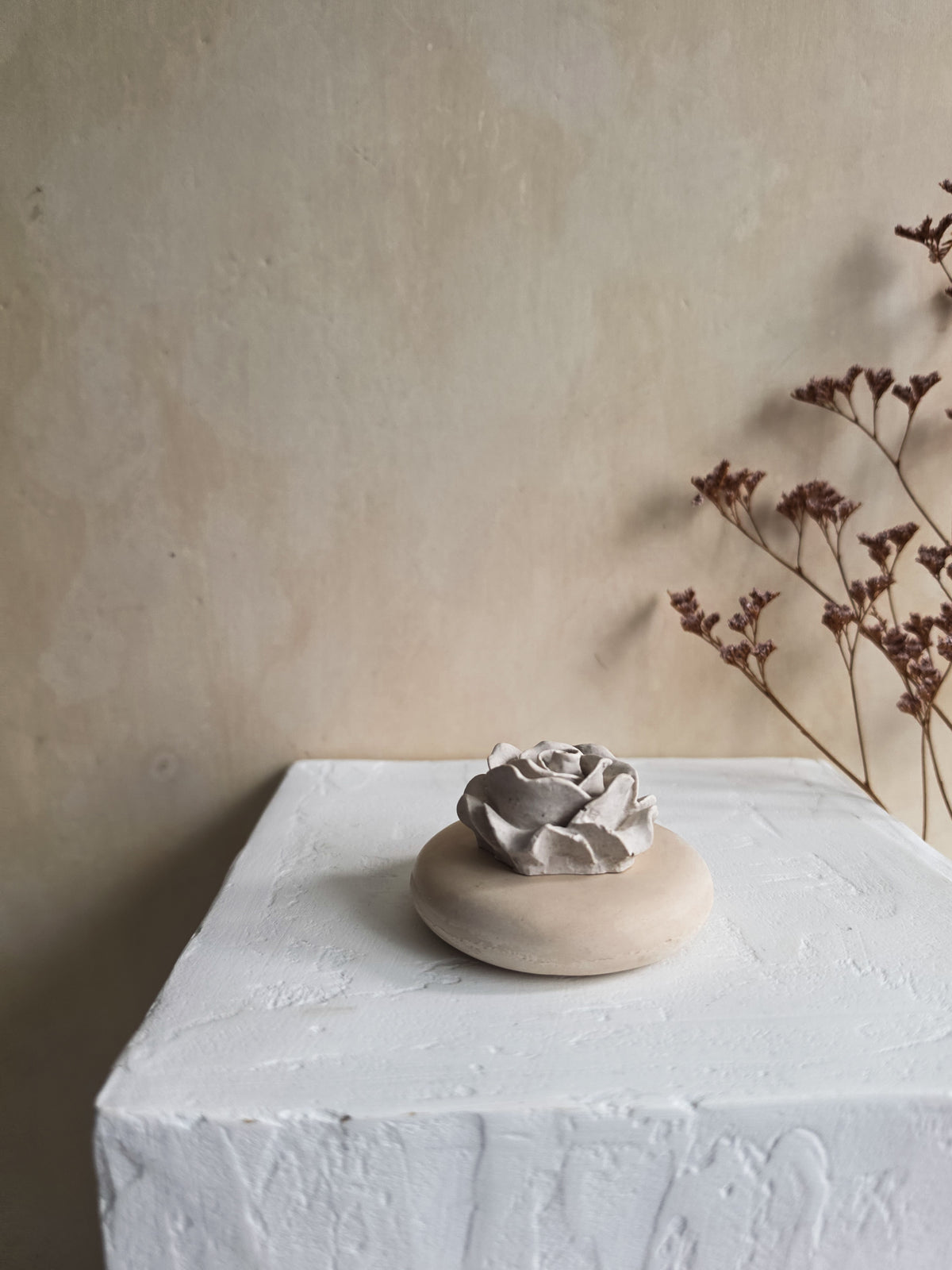 Rose — RIVO