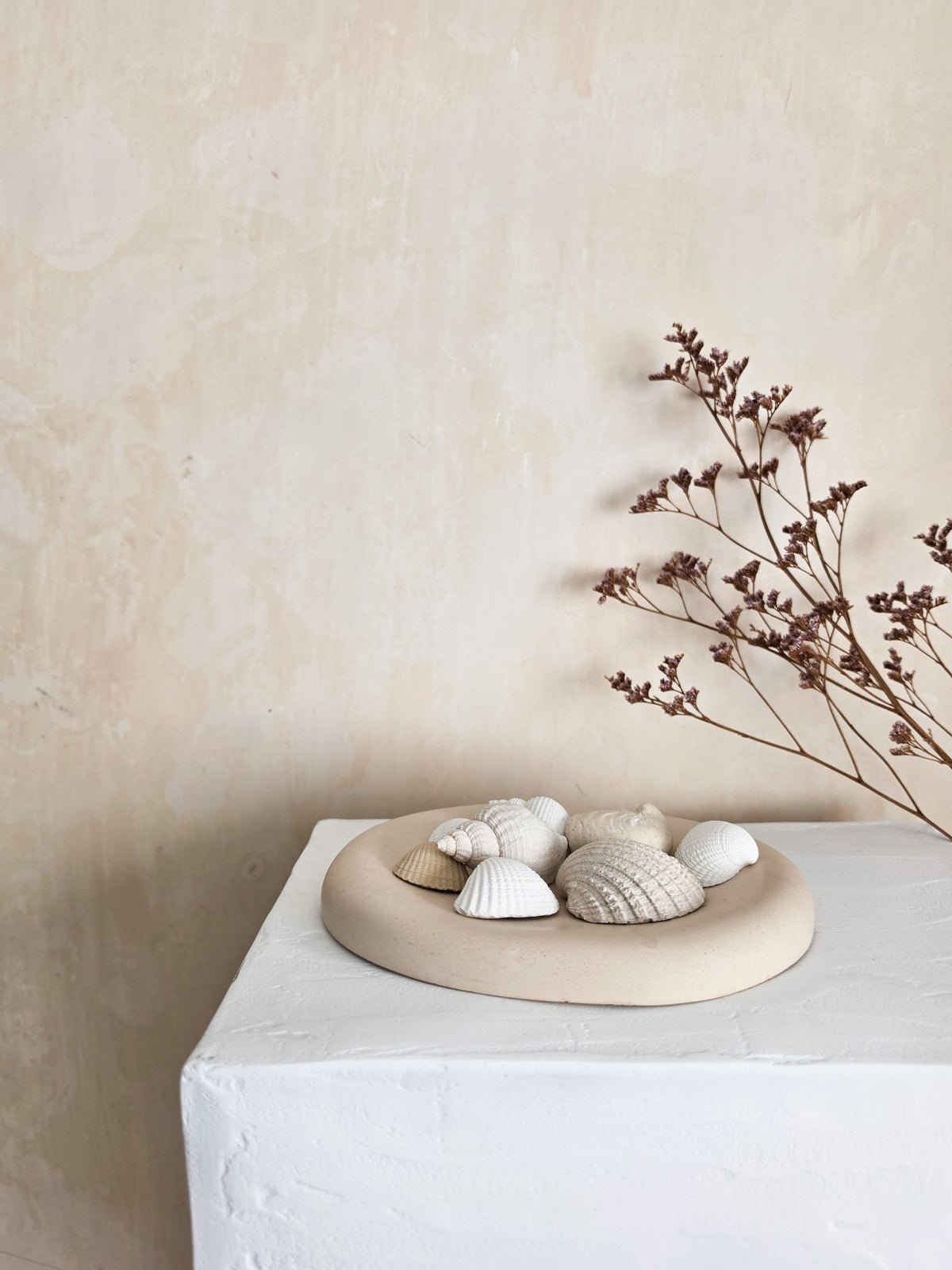 Sea Shell Scent Stones — Lume