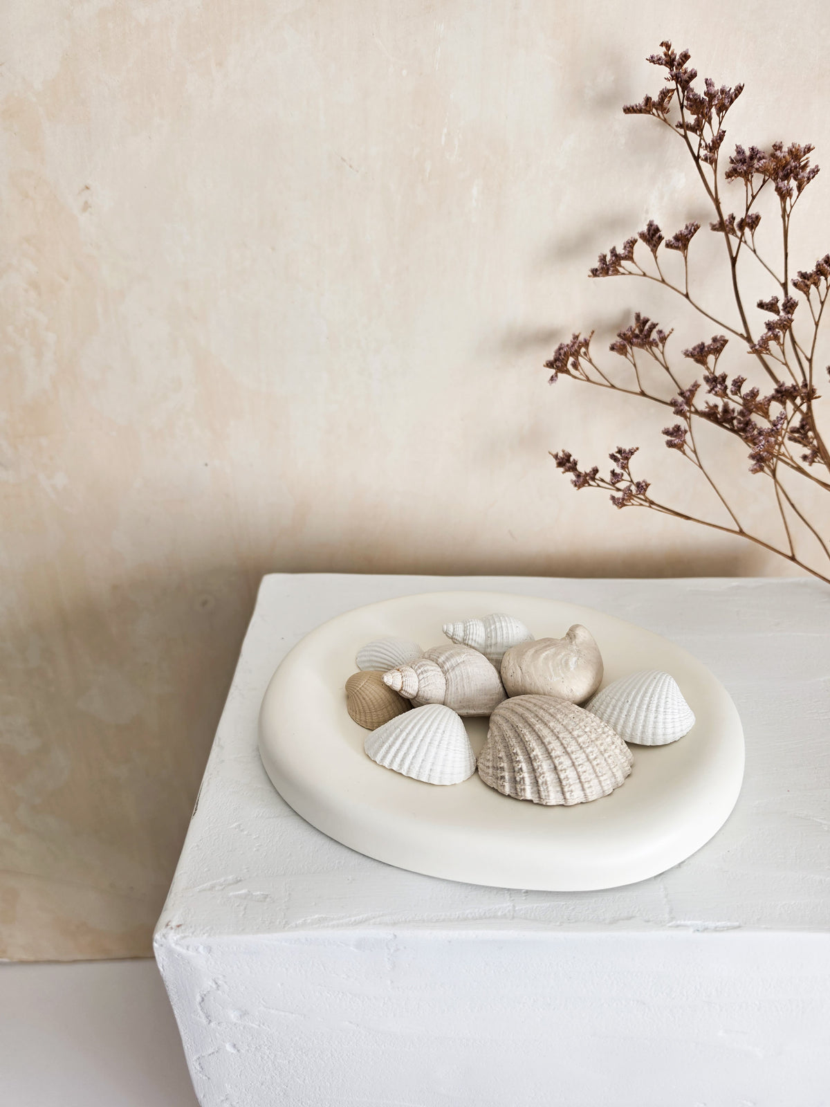 Sea Shell Scent Stones — Lume
