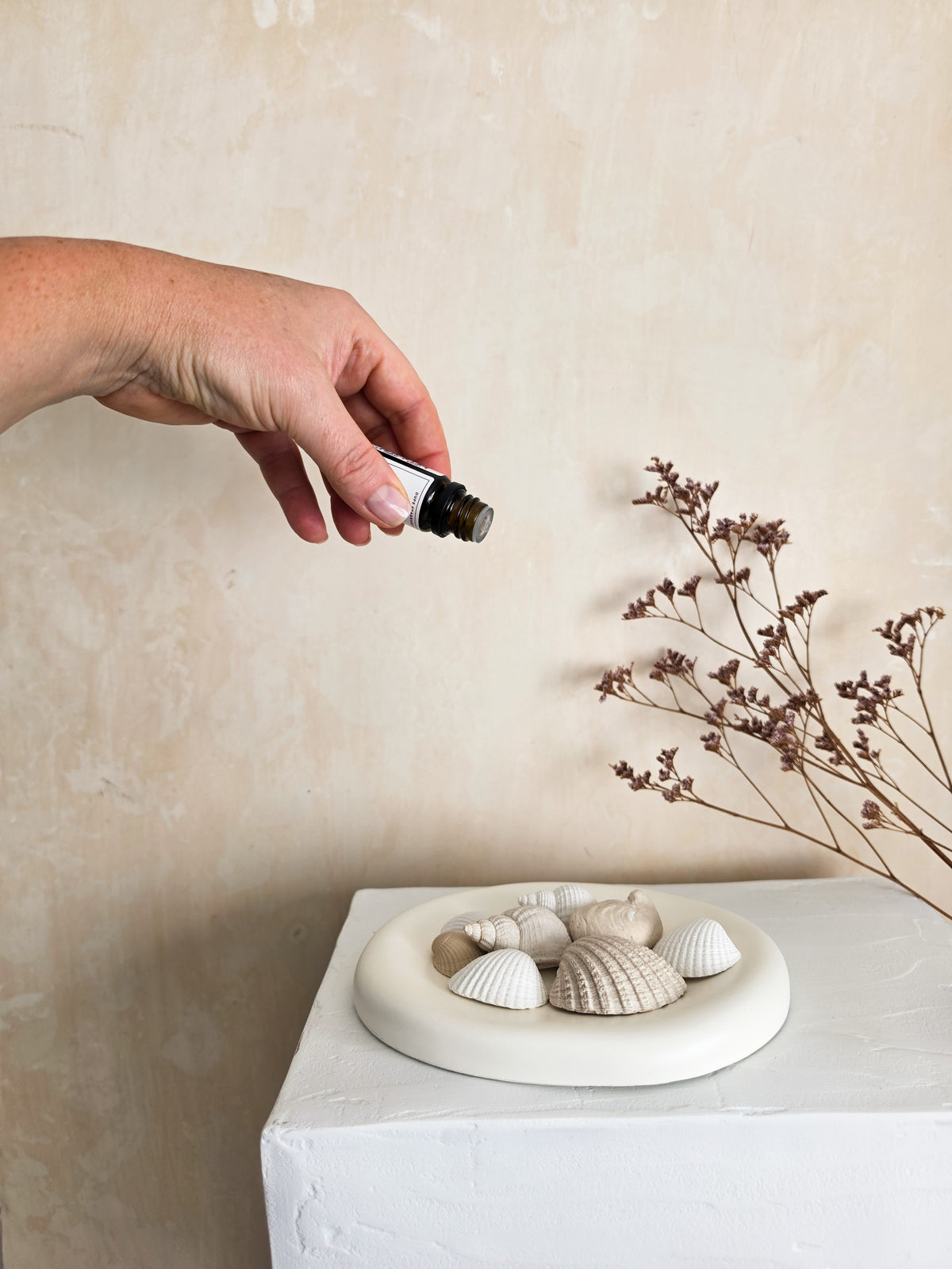 Sea Shell Scent Stones — Lume